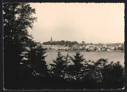 AK Malchow in Mecklenburg, Stadtansicht mit See und Kirche