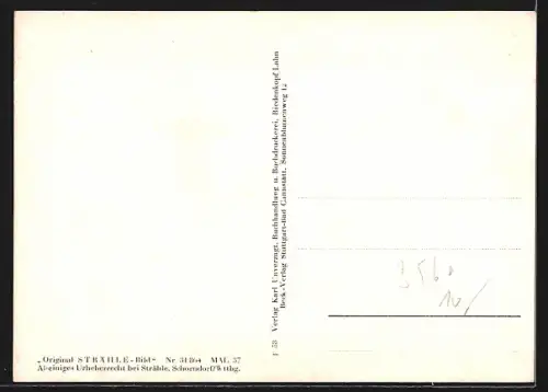 AK Biedenkopf /Lahn, Luftbild, Schloss, Lahn