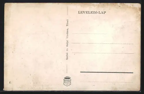 AK Técsó, Látkép