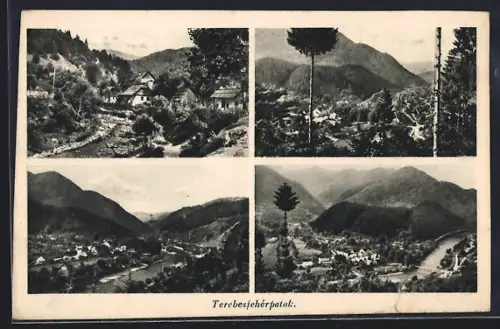 AK Terebesjehérpatak, Panorama