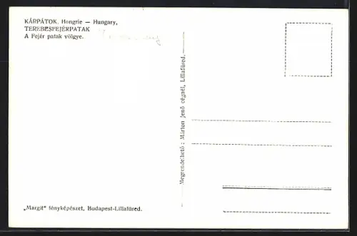 AK Teresbesfejerpatak, A Fejér patak völgye
