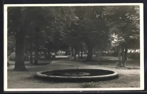 AK Nagyberezna, Park séta-kert