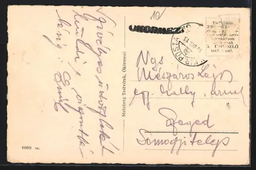 AK Ökörmezó, Panorama