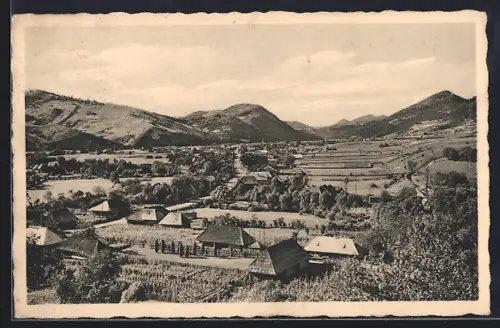 AK Volové /Podk. Rus., Teilansicht aus der Vogelschau