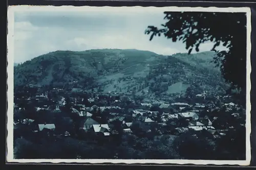 AK Rachov, Celkový pohled