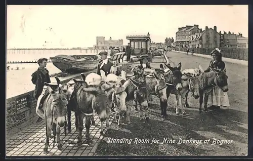 AK Bognor, Standing Room for Nine Donkeys