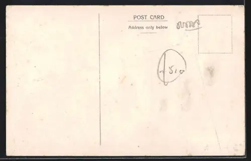 AK Newhaven, Birds Eye View at Newhaven Harbour