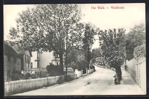 AK Wadhurst, The Walk