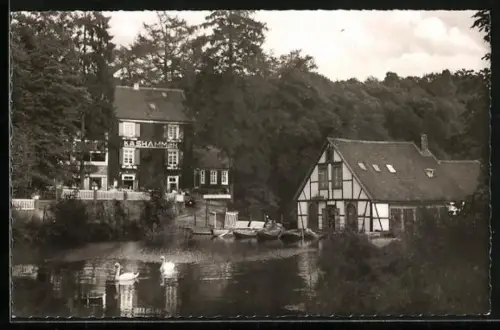 AK Käshammer im Gelpetal, Gasthaus Käshammer, Fachwerkhaus, Teich mit Schwänen