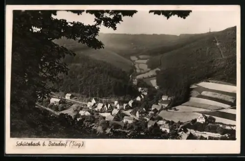 AK Schützbach b. Betzdorf /Sieg, Ortsansicht im Tal