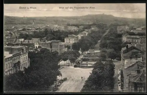 AK Bonn a. Rhein, Blick auf die Poppelsdorfer Allee