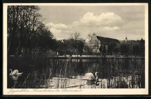 AK Kranichstein b. Darmstadt, Jagdschloss Kranichstein, Teich, Schwäne