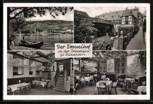 AK Rüdesheim / Rhein, Gasthaus Drosselhof, Drosselgasse, Innenansichten
