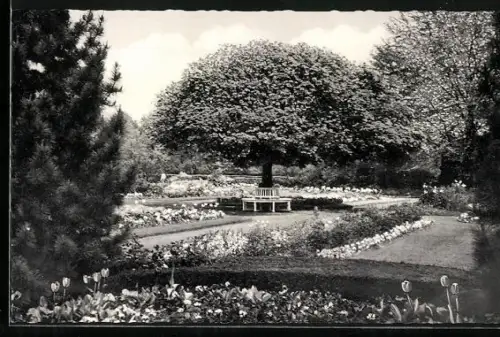 AK Gütersloh /Westf., Botanischer Garten