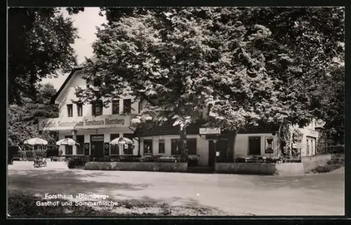 AK Blomberg, Forsthaus Blomberg, Gasthof von Paul Düllmann