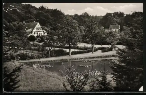 AK Lübbecke in Westfalen, Barre-Teich