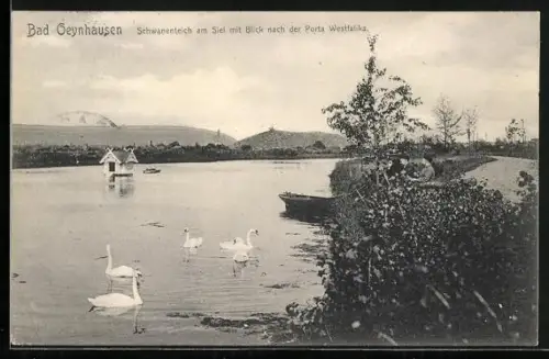 AK Bad Oeynhausen, Schwanenteich am Siel, Blick nach der Porta Westfalica