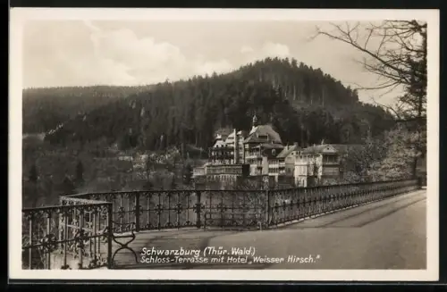 AK Schwarzburg /Thür. Wald, Schloss-Terrasse, Hotel Weisser Hirsch