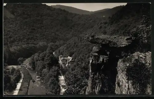 AK Bad Blankenburg, Talblick, Waldlandschaft