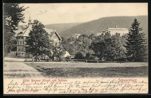 AK Schwarzburg, Hotel Weisser Hirsch und Schloss