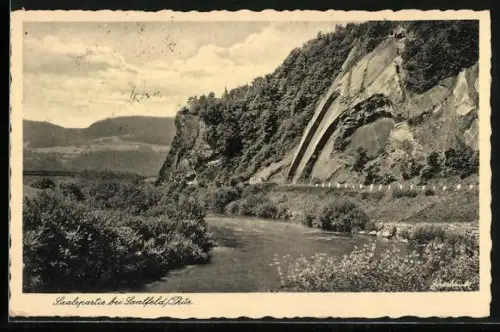 AK Saalfeld /Thür., Flusspartie bei Saalfeld