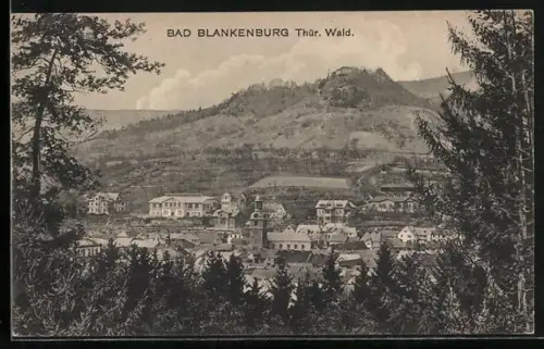 AK Bad Blankenburg /Thür. Wald, Stadtansicht mit Burg und umliegender Landschaft