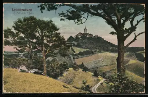 AK Leuchtenburg / Seitenroda, Burgansicht auf dem Hügel, Landschaft