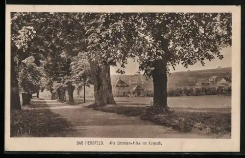 AK Bad Hersfeld, Alte Brunnen-Allee im Kurpark