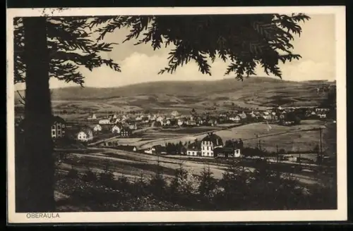 AK Oberaula, Ortsansicht, Landschaft