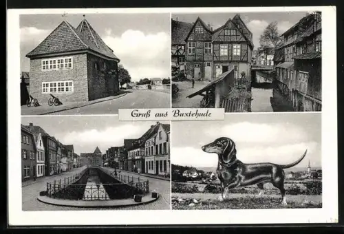 AK Buxtehude, Rathaus, Fachwerkhäuser, Strassenansicht, Dackel