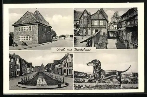 AK Buxtehude, Rathaus, Fleth, Fachwerkhäuser, Dackel