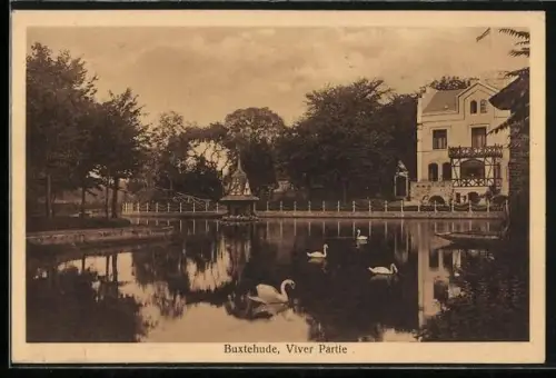 AK Buxtehude, Viver Partie