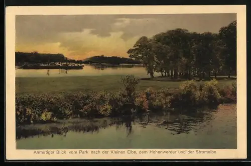 AK Barby a. d. Elbe, Blick vom Park zur Kleinen Elbe, Hohenwerder und Stromelbe