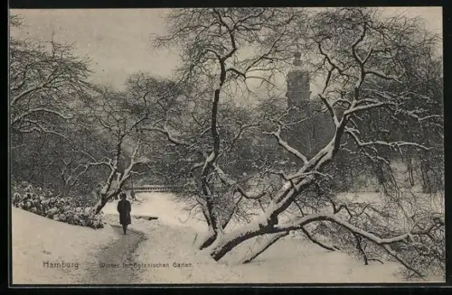 AK Hamburg-St.Pauli, Winter im Botanischen Garten