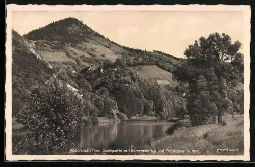 AK Rudolstadt /Thür., Saalepanorama mit Unterpreilipp und Preilipper Kuppe