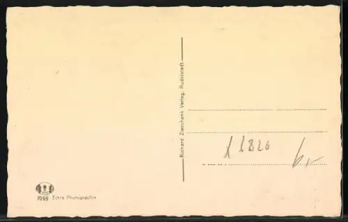 AK Rudolstadt /Thür., Saalepanorama mit Unterpreilipp und Preilipper Kuppe