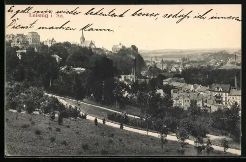 AK Leisnig i. Sa., Stadtansicht, Panorama