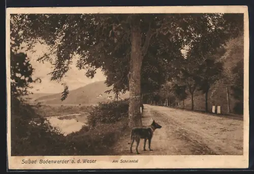 AK Bodenwerder a. d. Weser, Am Schrinntal