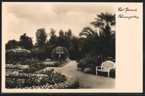 AK Bad Pyrmont, Palmengarten