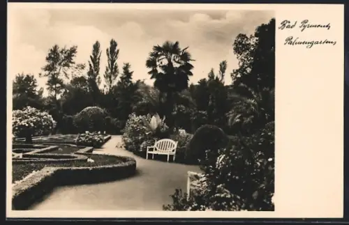 AK Bad Pyrmont, Palmengarten