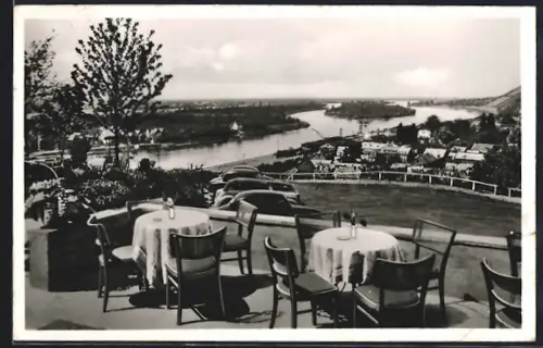 AK Vallendar a. Rh., Bergrestaurant Humboldt-Höhe, Bes. Heinr. Burg