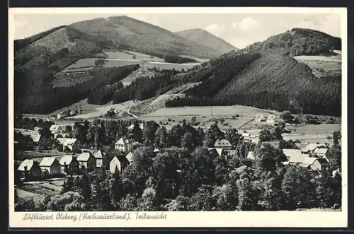 AK Olsberg /Hochsauerland, Teilansicht