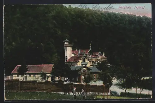 AK Netzkater /Harz, Hotel Netzkater, Inh. Emil Liesegang