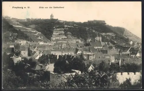 AK Freyburg a. U., Blick von der Sektkellerei