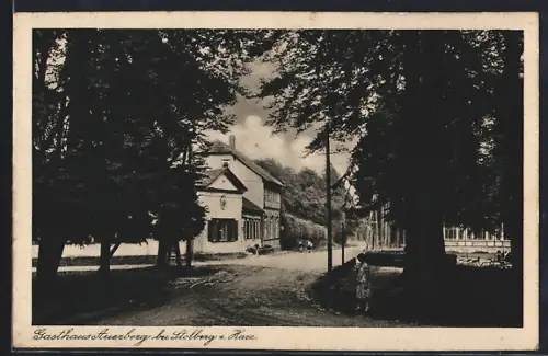 AK Stolberg / Harz, Gasthaus Auerberg