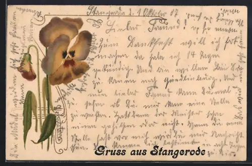 Lithographie Stangerode, Gelbes Stiefmütterchen