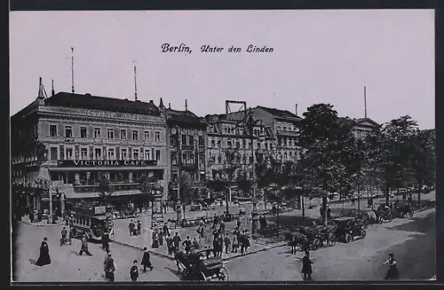 AK Berlin, Unter den Linden, Victoria Café, Strassenszene, Pferdekutschen