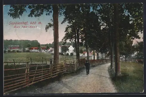 AK Sophienhof /Ilfeld, Dorfansicht mit Weg und Gehöften