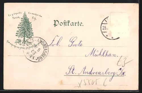 AK Ilfeld am Harz, Panoramaansicht des Ortes