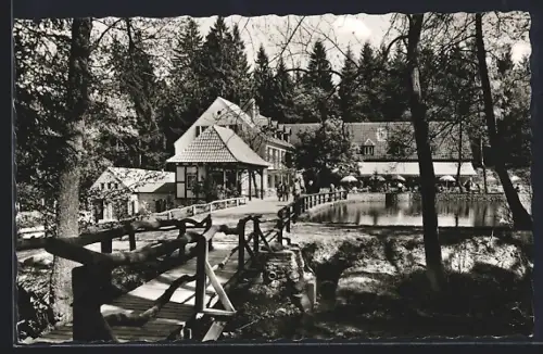 AK Leopoldstal i. L., Waldhotel und Pension Silbermühle, Bes. W. Schäfer
